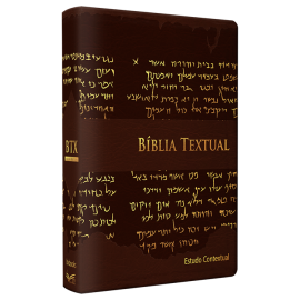  B�blia De Estudo BTX Textual Marrom Luxo