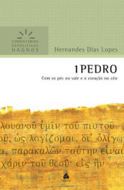 Comentario 1 Pedro Hernandes Dias Lopes