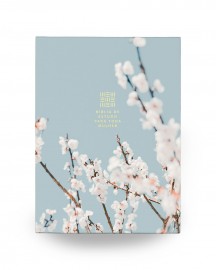 B�blia de Estudo para Toda Mulher � Capa Azul