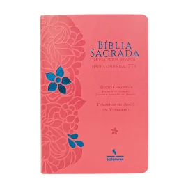 B�blia Letras Extra Gigante Texto Colorido Palavras De Consolo Em Azul Profecia Em Verde - Rosa Flor Azul